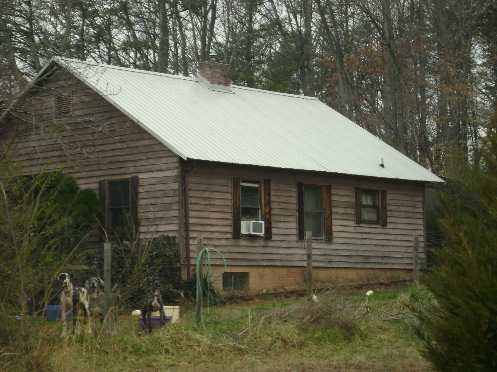 White metal roof on an old wood sided farmhouse, from a Asphalt Shingle Roof Repair job in Swanville